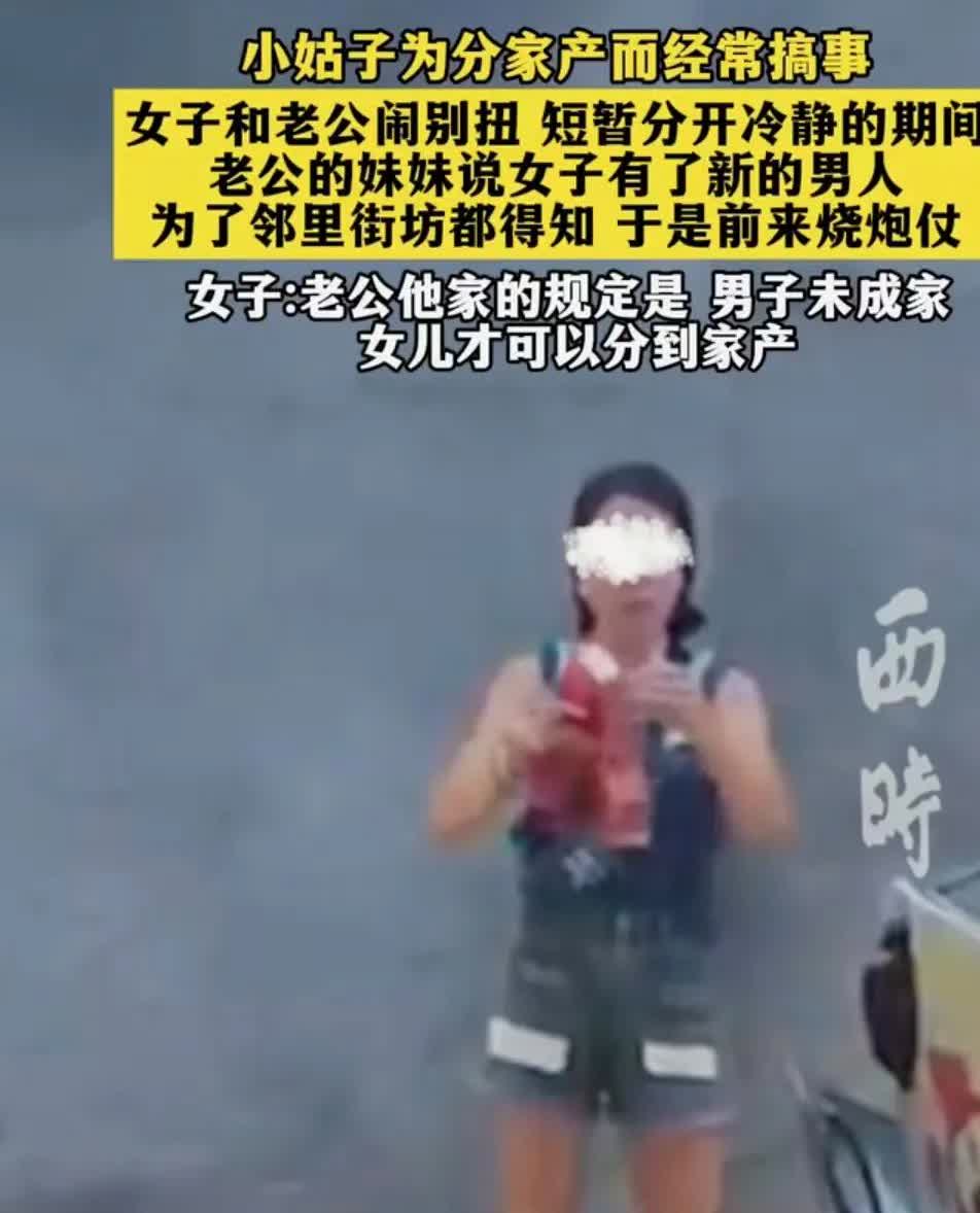 小姑子为了分家产，老是爱搞事情。
女子和丈夫闹了别扭，在短暂分开冷静的时候，丈