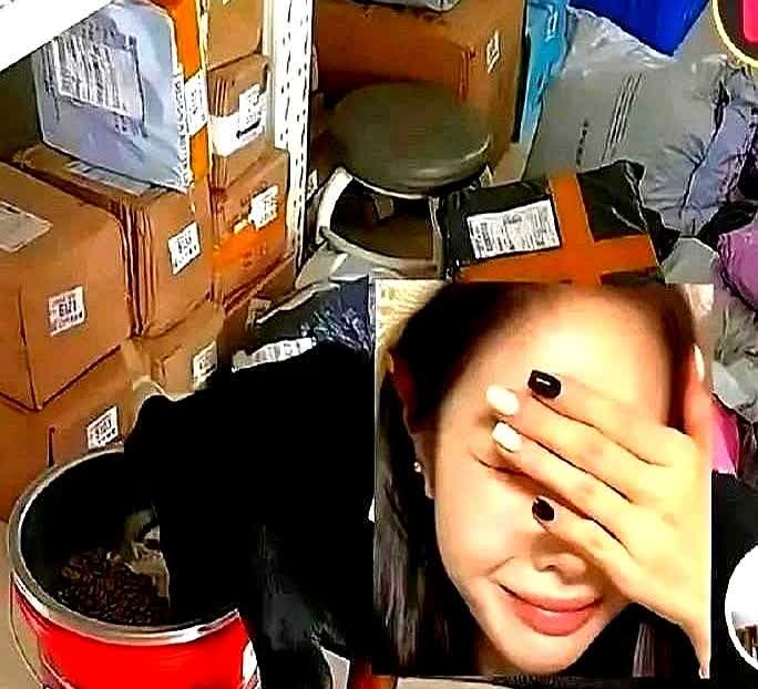 江苏一家菜鸟驿站真厉害，客户买狗不来取，滞留菜鸟驿站半个月了。

好家伙，现