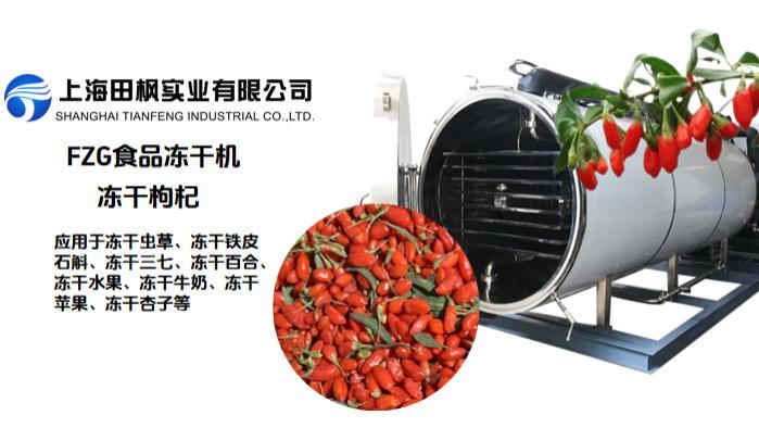冷冻干燥机冻干枸杞的工艺流程