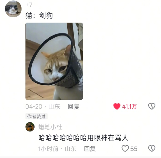 面对病号重尾出击