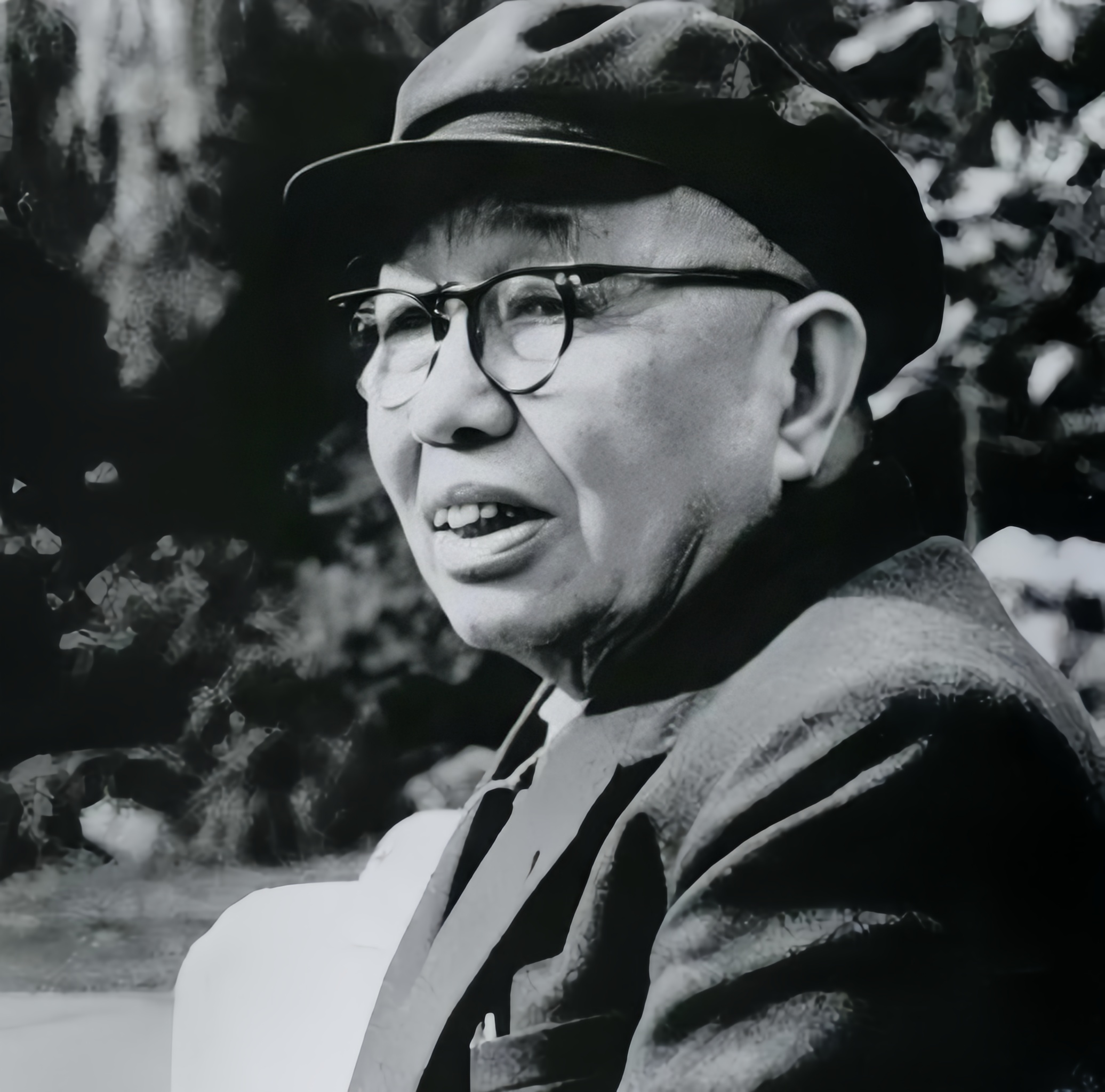 无冕大将谭震林也参加了1959年的庐山会议，他是如何批判彭德怀的呢？谭震林说，彭