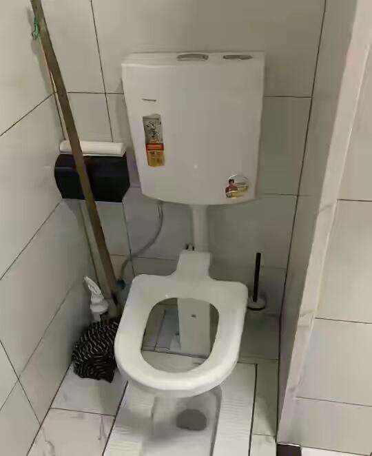 有谁知道，这到底是蹲坑还是坐坑？