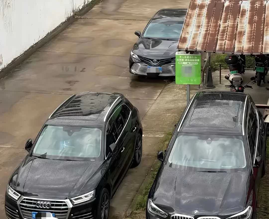 网友：给你50万，你会选那辆车呢？