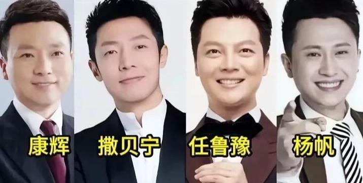 四位都是央视的才子，相比之下你比较喜欢哪一个，谁是你的第一眼帅哥呢？我比较喜欢杨