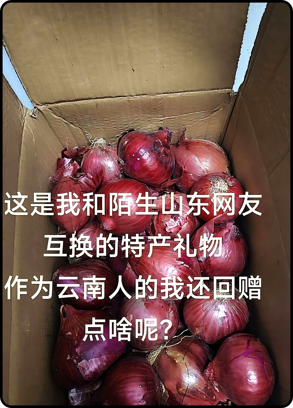 山东皮友寄来的特产，作为云南人我该回赠点啥呢？