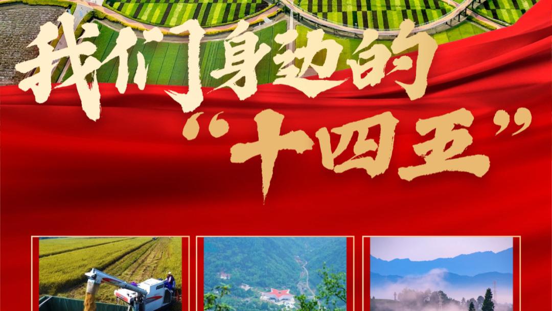 实干的邛崃—我们身边的“十四五” | 深耕“三农”沃土，书写乡村振兴高质量答卷