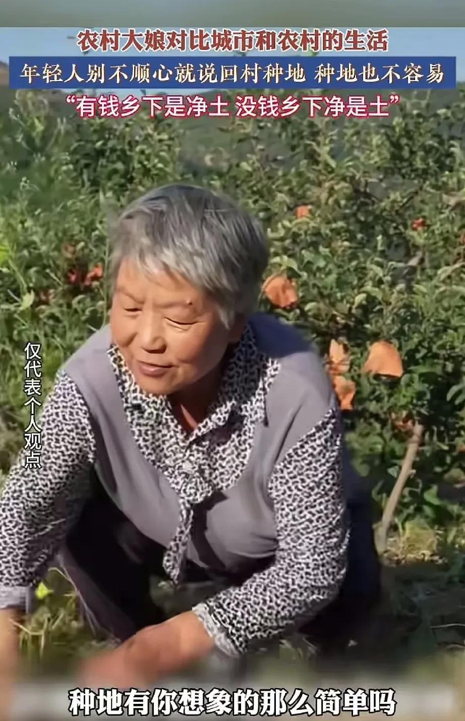 有钱乡下是净土，没钱乡下净是土。
现在的年轻人看不上在城市上班儿一个月3000 