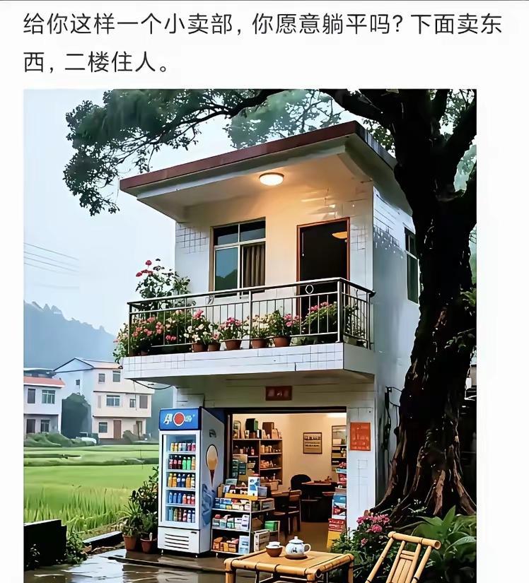 农村只有一些留守老人儿童，哪有什么消费力[笑哭]，还躺平[捂脸]