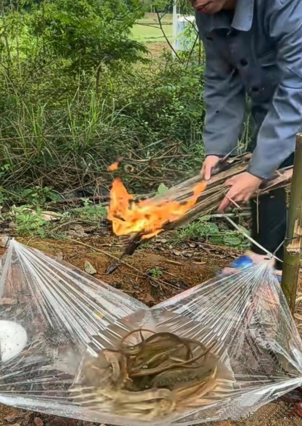 这样的技能荒野求生可以活几年?