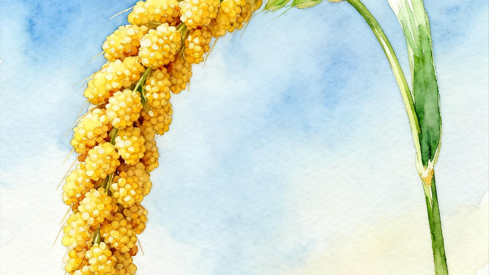 慢火熬米香，邻里话家常