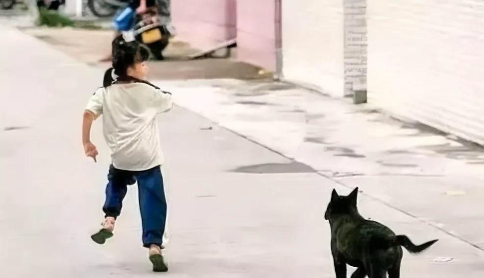 如此恶邻，活该！江苏，一9岁女孩上学，经过邻居门口，邻居家的狗突然窜出来，女孩受