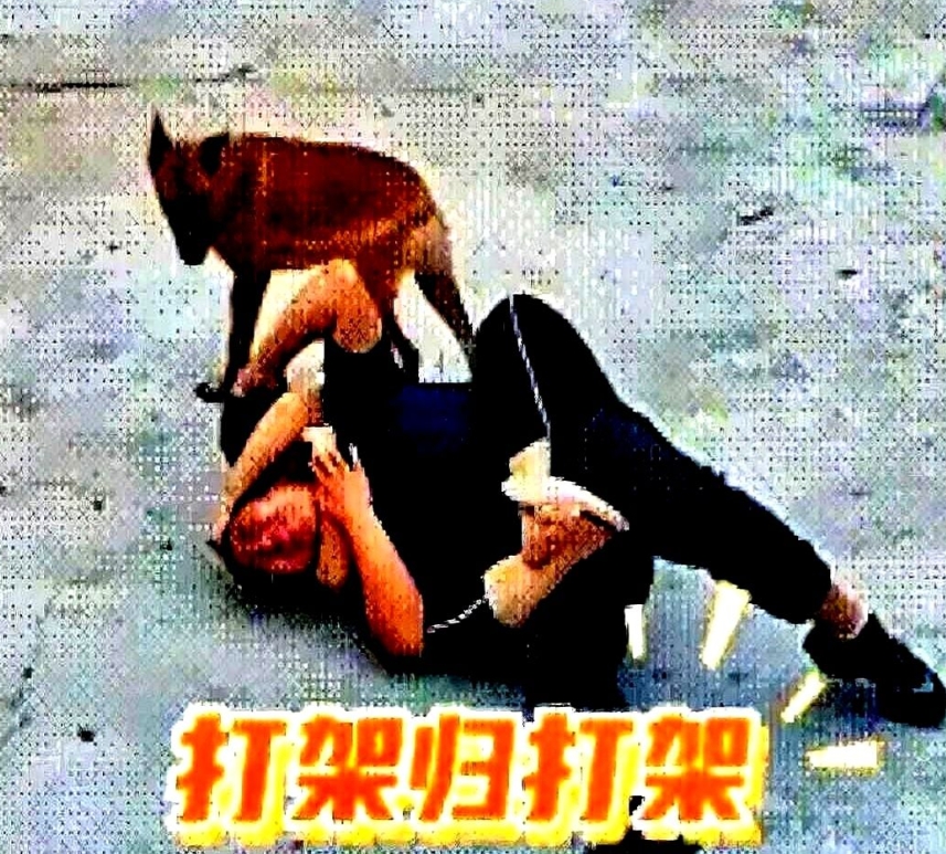 山东，一对夫妻因琐事吵架，120斤妻子竟然趁200斤丈夫不备，直接从背后“偷袭”