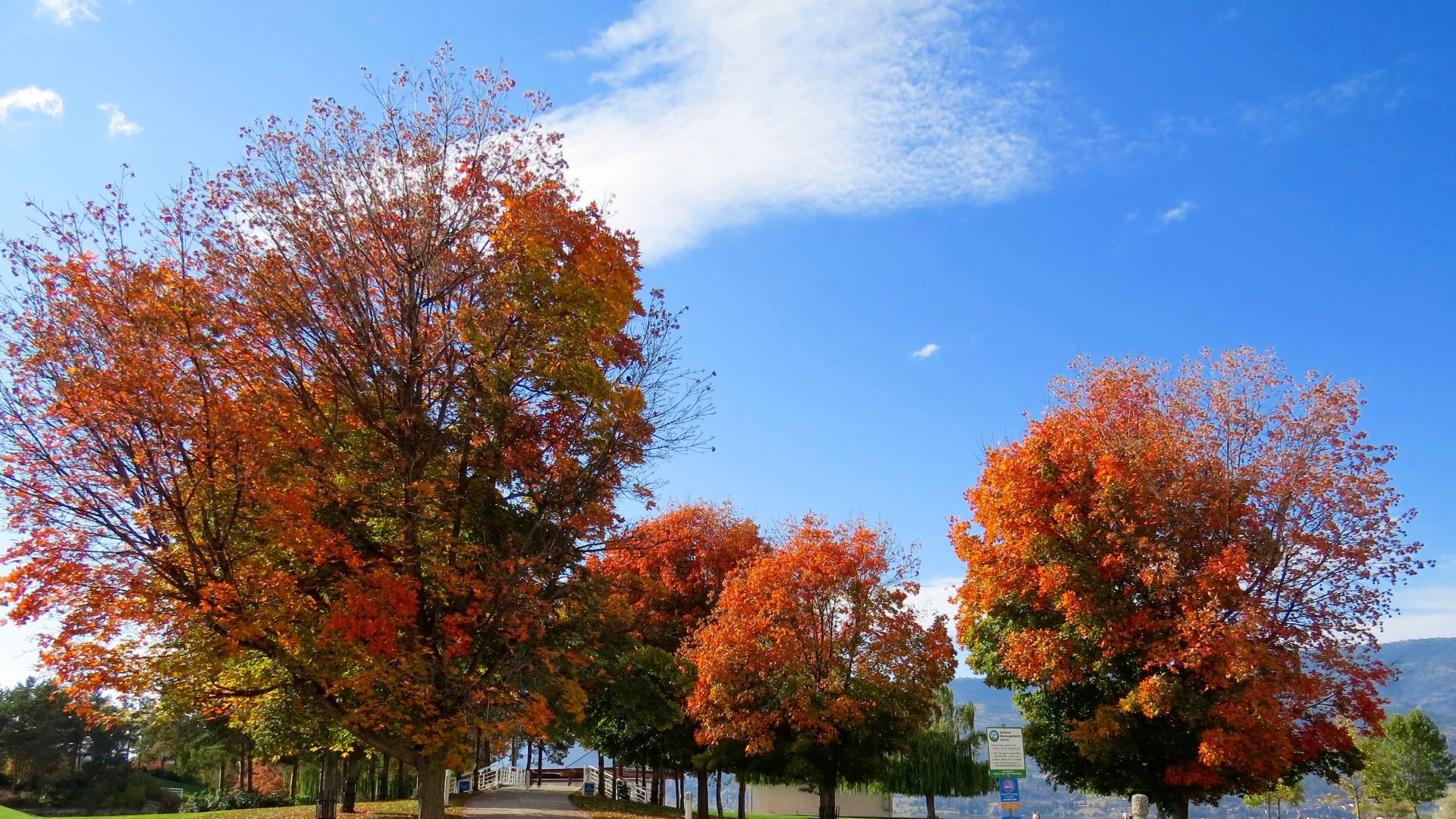 创新“不敢想” ：打破“思维定势”的隐性枷锁