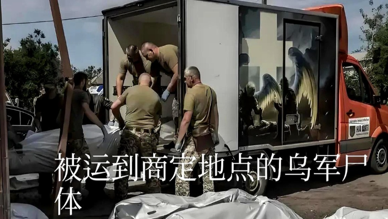 泽连斯基掉进
