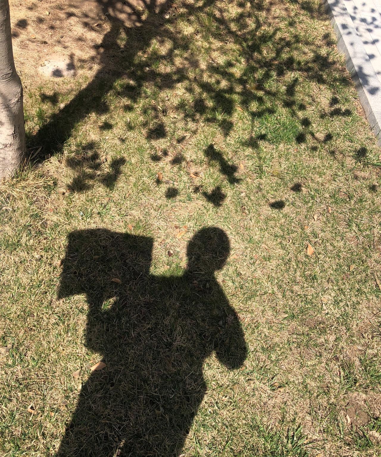 两个人在门口穿上舒服的鞋子，牵着手走出门。朝着一个方向走，遇到可爱的事物会拍照，