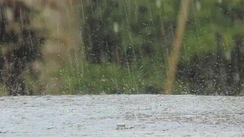 今日八月十八，老话说“最怕十八一日雨”，八月十八下雨有啥预兆