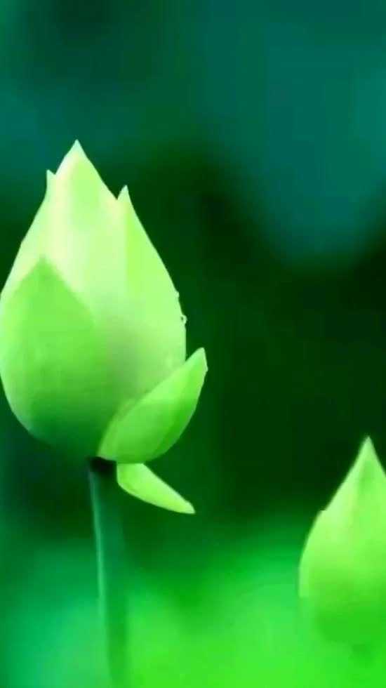 我家邻居有个三十岁的男子是外地的，租的房子，自己带着一个小姑娘有五岁，有一天有个