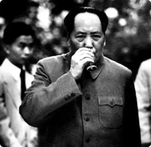 1966年，美国女特工李莎接到一个任务，刺杀毛主席，她千里迢迢来到中国，没想到计