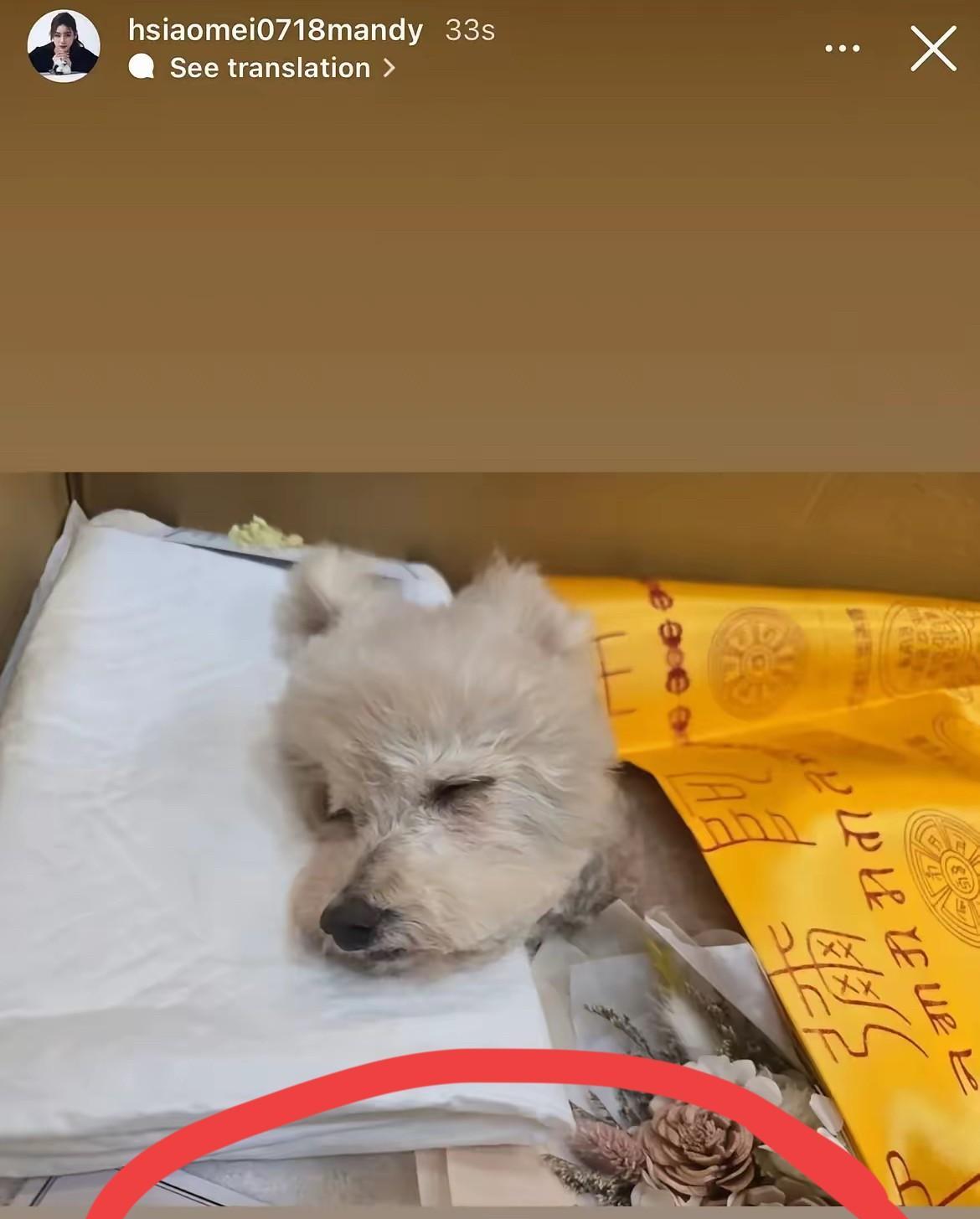 有些粉粉们也太敏感了吧？！
马筱梅只是凑巧在“阿宝”走了之后发文纪念了一下，又被