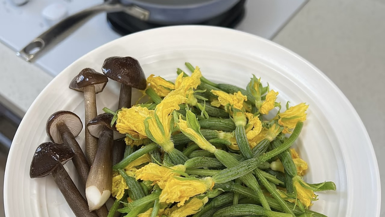脆嫩碰撞鲜醇！黄瓜芽炒鸡枞菌，10分钟搞定家常鲜滋味
