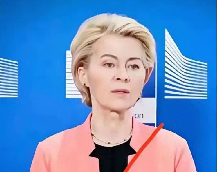 欧盟 45.3% 的关税说撤就撤了，把美国和俄罗斯都看傻了！尤其是美国，本来搬着