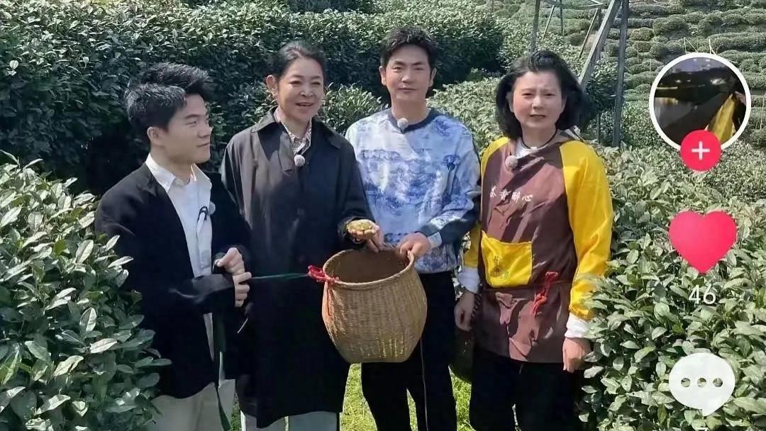 倪萍助阵董宇辉早茶节目，家电小分队上海备战，擂台赛火药味拉满