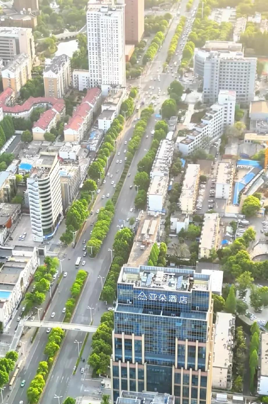 合肥市黄山路上的好大学，最受安徽中烟的青睐
合肥市黄山路，也被称为合肥的学府路，
