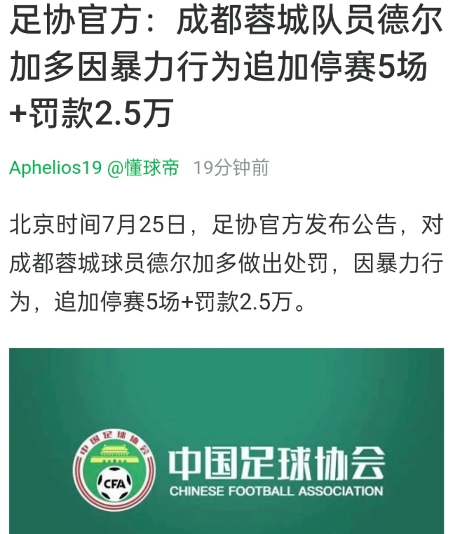 山东泰山挺进足协杯决赛时，德尔加多才解禁复出