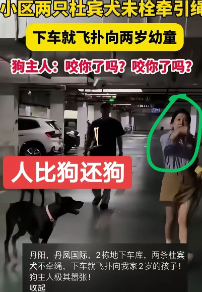 太气愤了！
现在最慌的不是那2只杜宾犬的女狗主人，也不是丹阳民警，更不是小区物业
