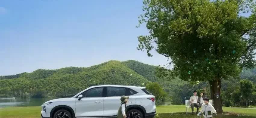 听人一句劝，买车不纠结:
1，要面子--买问界
2，要豪华--买理想
3，