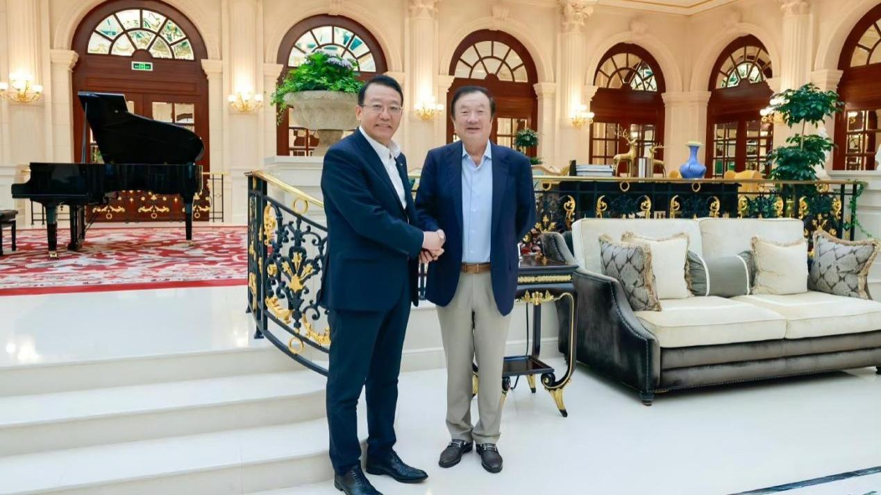 华为巨变：华望打响第一枪