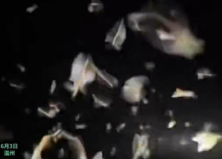 温州五马街又出现了！头皮发麻！



近日，温州城区的夜空，上演了一幕令人毛骨悚