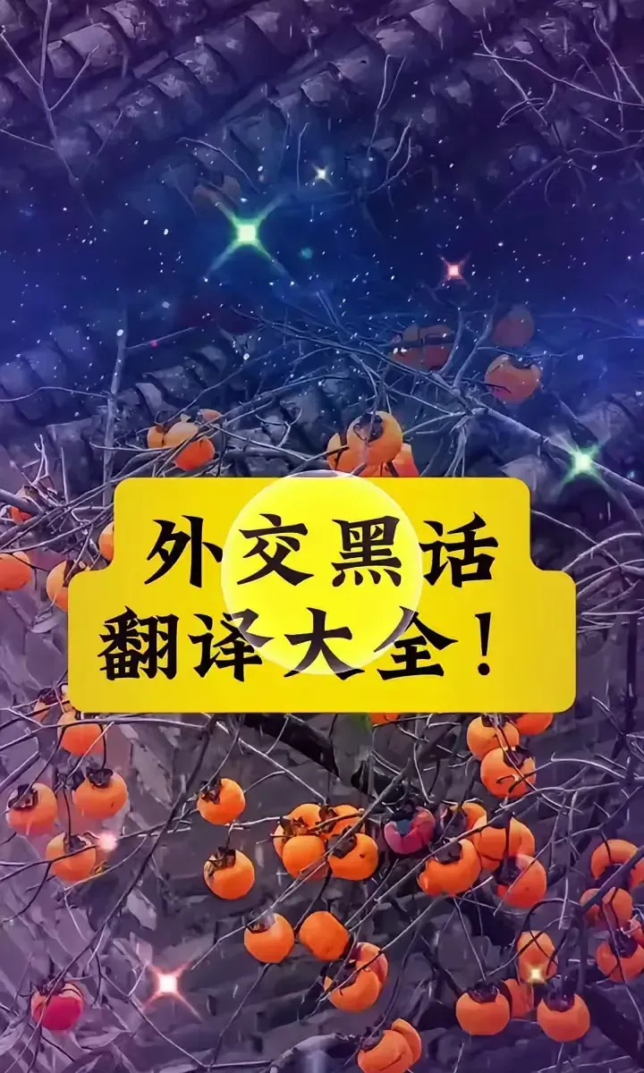 外交黑话大揭秘，看懂才不吃亏











---









