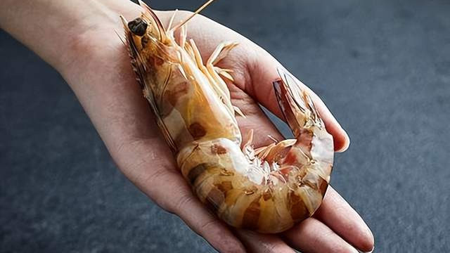 斑节对虾：这个肉质Q弹的“虾中贵族”，才是老饕的最爱