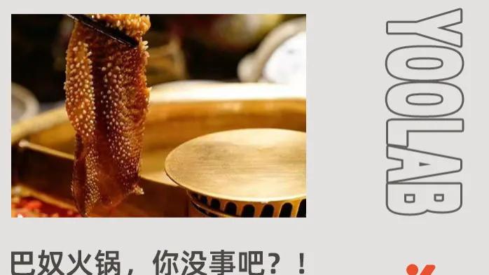 “月薪5000元，就不要吃巴奴了！”这高端火锅，激怒无数打工人！