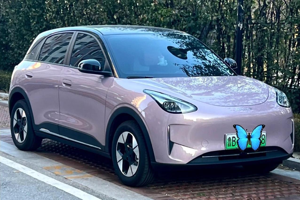 也难怪六七万的电车卖得好，一辆小型电车购置税就能省5000-5500元，300公