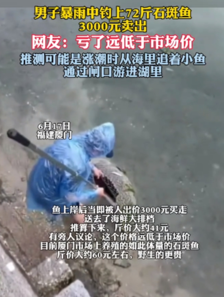 “这运气太好了！”福建一男子冒着风雨去钓鱼，没成想钓着钓着，鱼竿一沉，线一紧，拉