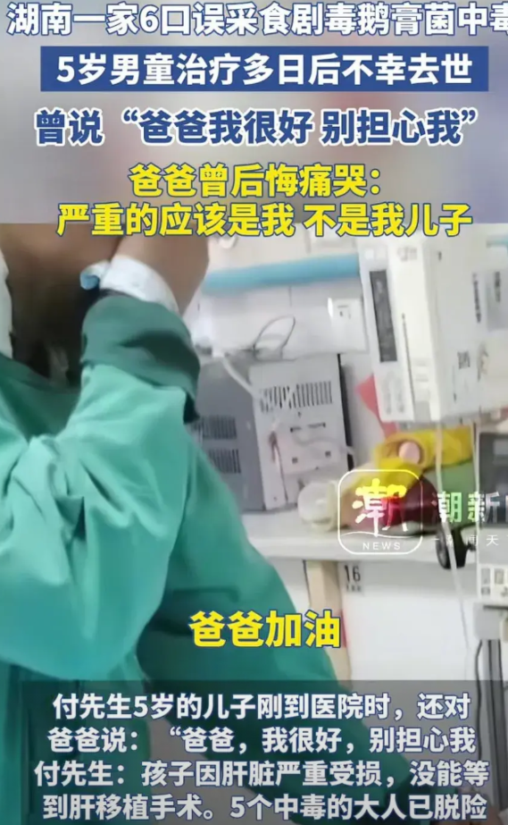 五岁男童吃了毒蘑菇，在医院抢救10天后去世，他在进抢救室之前还对爸爸说：“爸爸不