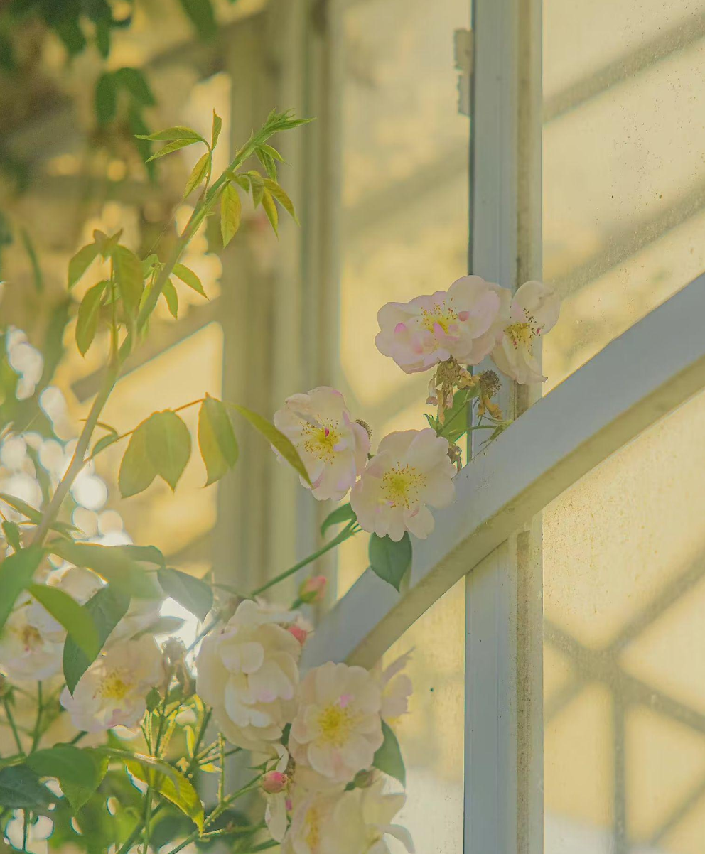 你是靠技术赚钱还是依靠体力赚钱？