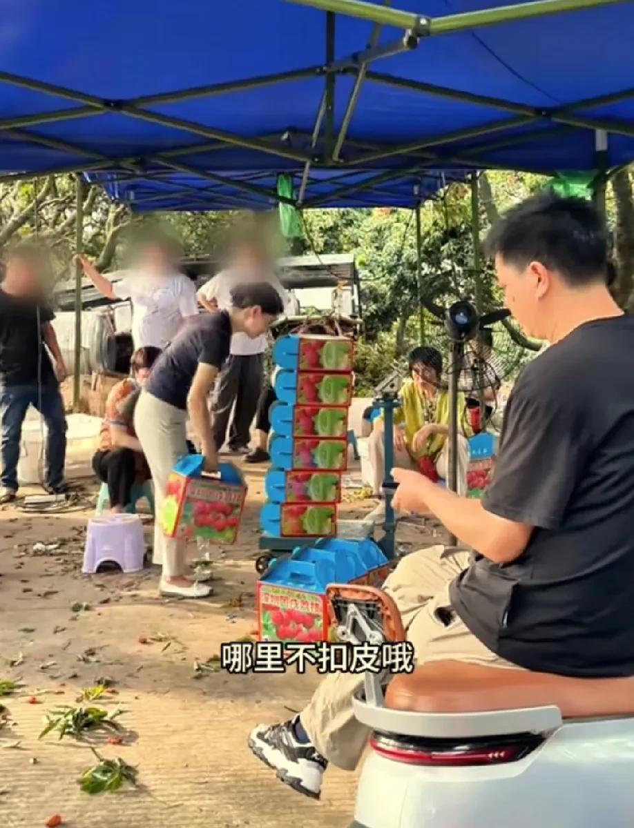 阿姨和红姐终于站在同一阵营，一致认为老板将纸箱重量计入荔枝重量，实在不公平。
