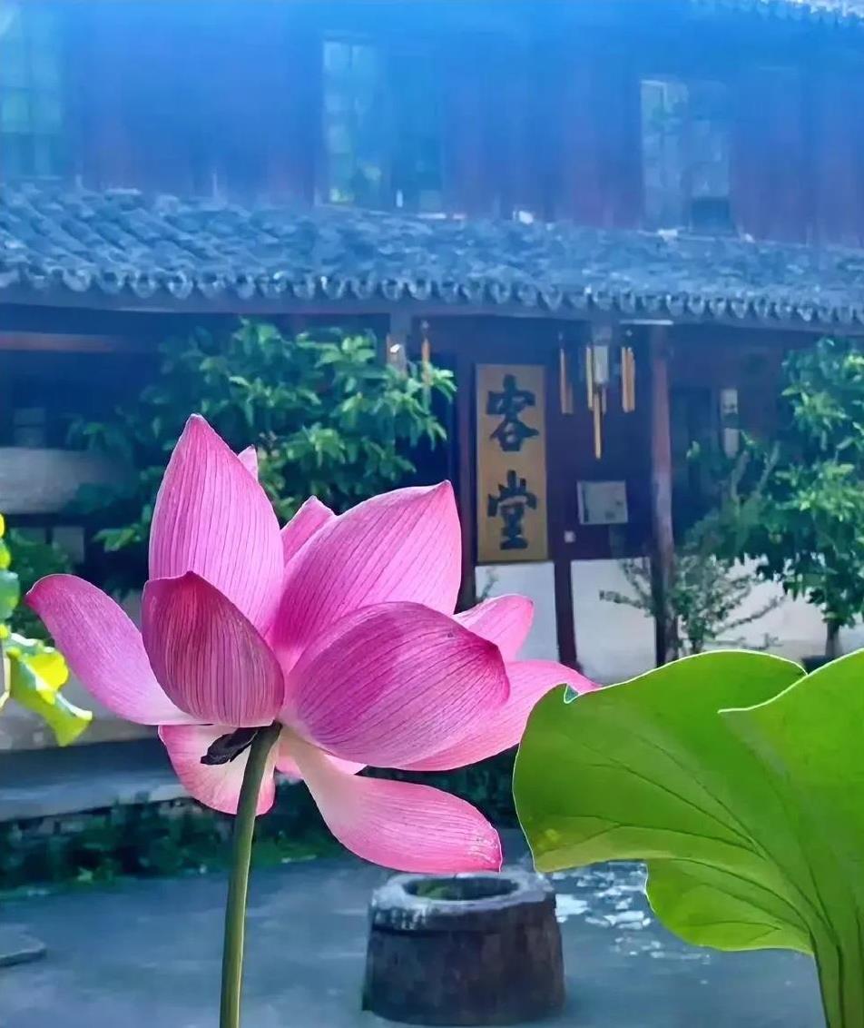 人没有一生都走在正确的路，痛了就哭，错了就改，勇敢打拼，认真生活，人生本来苦短，