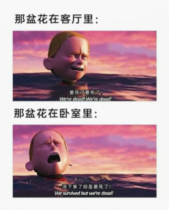 朋友帅气地出现了