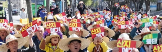 韩国人抵制中国白菜闹剧收场











哎呀，韩国人年初还喊着“宁愿饿
