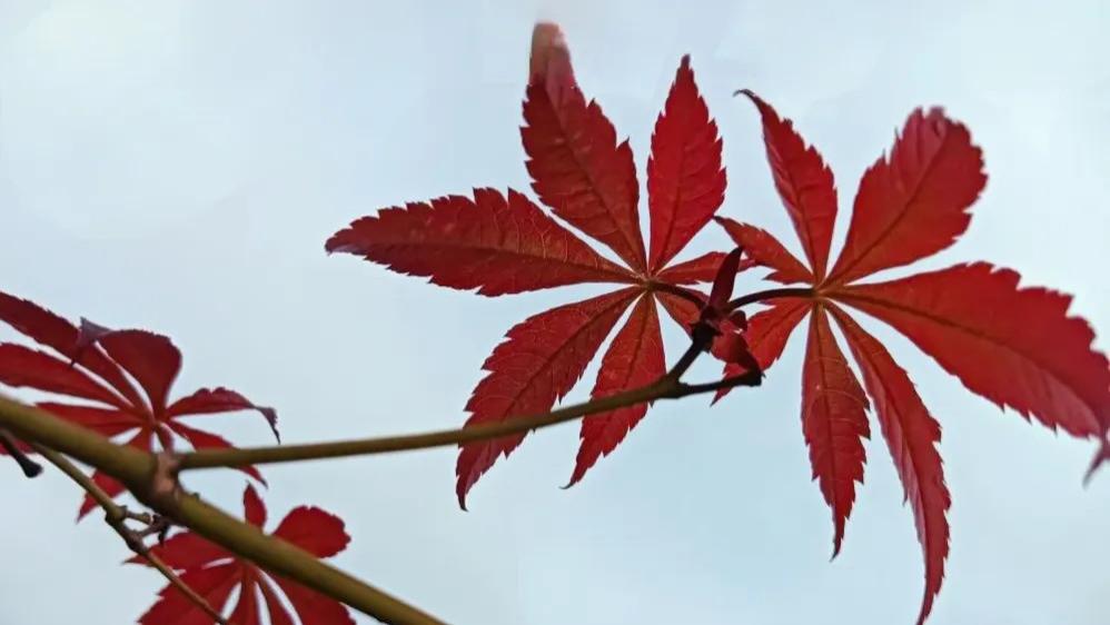 随笔：九月结语