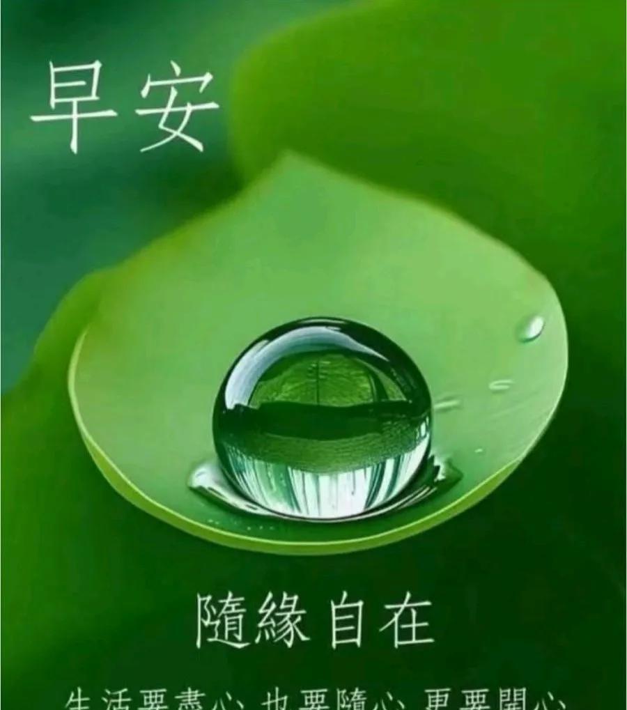 [玫瑰]早上好[玫瑰]
隨緣自在
生活要盡心 
也要隨心 更要開心
簡單一點 糊
