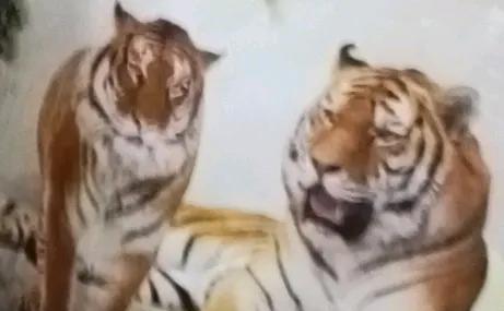 当下的五零、六零甚至七零后，都是唱着《我爱北京天安门》，看着反映“打土豪分田地”
