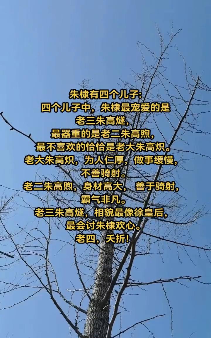 朱棣有四个儿子：四个儿子中，朱棣最宠爱的是老三朱高燧，最器重的是老二朱高煦，最不