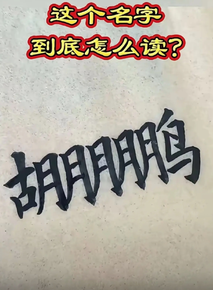 这个名字到底怎么读？