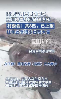 “这下后悔了吧！”5月23日，内蒙古一马场突降暴雪，导致牧民8匹马被冻死，其中有