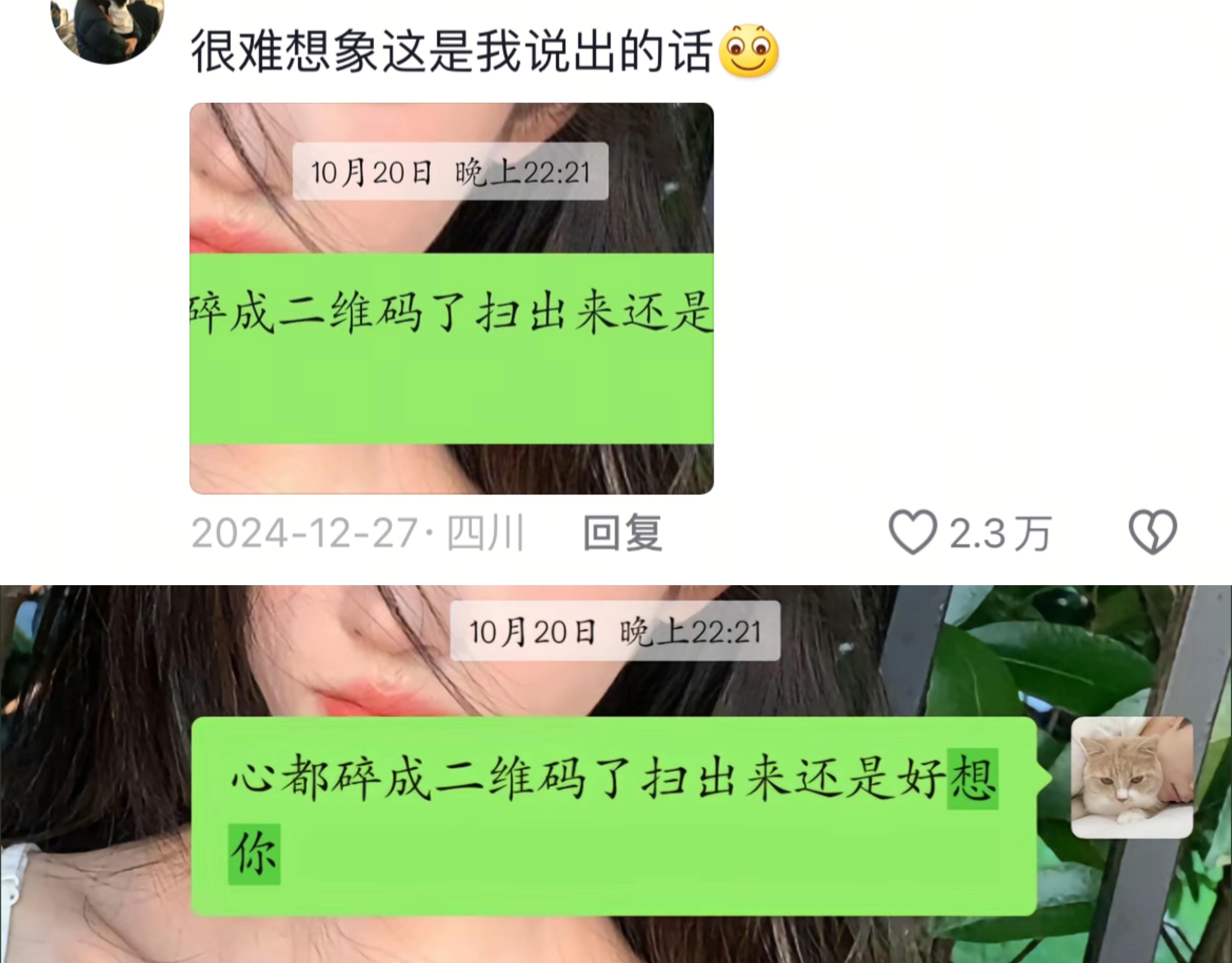很难想象这是我说出的话
